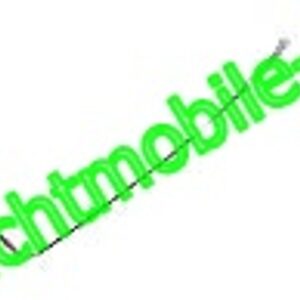 Schaltzug LIGIER/ Microcar Rückwärtsgang