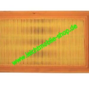 Luftfilter Lombardini