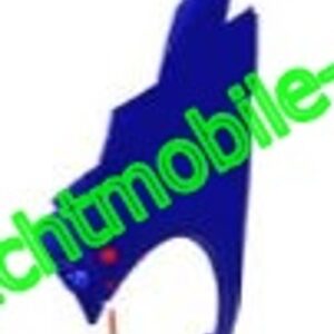 Kotflügel vo. rechts  Aixam Vision