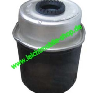 Dieselfilter Lombardini Commonrail/ DCI /HDI (Ligier, Microcar,Aixam)