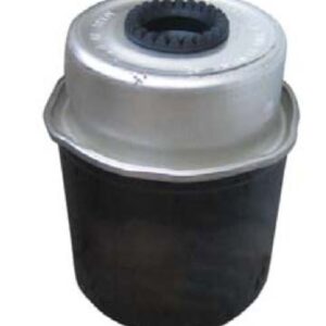 Dieselfilter Lombardini Commonrail/ DCI /HDI (Ligier, Microcar,Aixam)